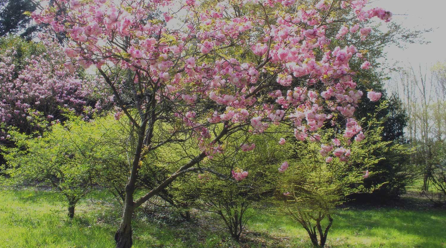 Arboretum de Châtillon-sur-chalaronne