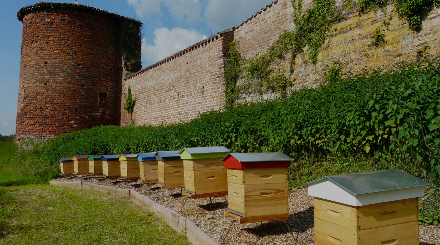 Arboretum de Châtillon-sur-chalaronne