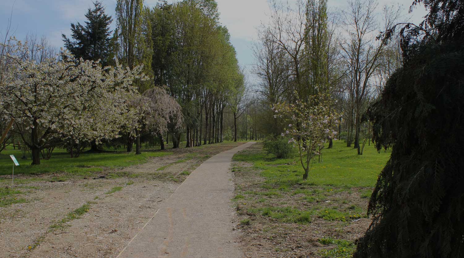 Arboretum de Châtillon-sur-chalaronne