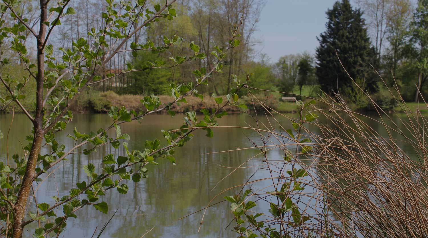 Arboretum de Châtillon-sur-chalaronne